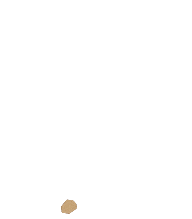 種